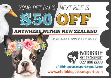 $50 Off voucher for pet transport, for A4Dibble Pet Transport. Background: torn paper on right, empty space on left. Foreground: watercolour dog and goose over empty space, details over paper.